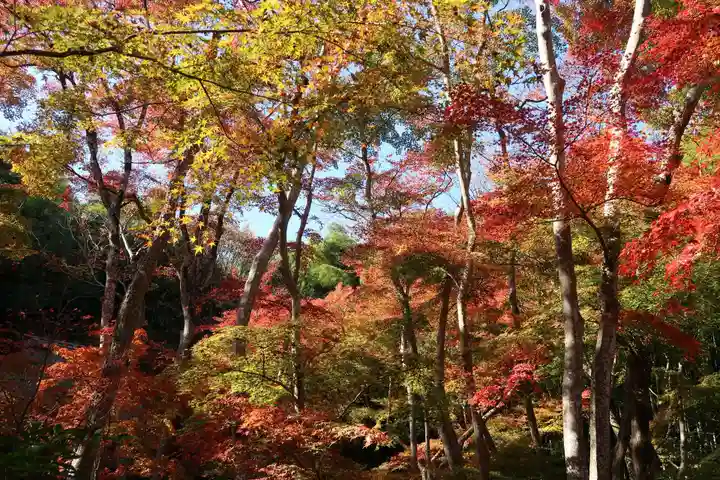 祇王寺(京都府)