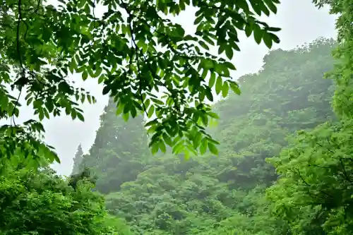 高龍神社　奥之院(新潟県)
