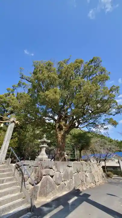 荒穂神社の自然