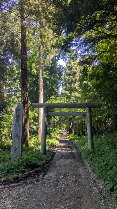 中村八幡宮の{uncategorized: "未分類", other: "その他", undefined: "問題あり", building: "その他建物", grave: "お墓", sacred_gate: "鳥居", guardian: "狛犬", statue: "像", buddha: "仏像", history: "歴史", nature: "自然", garden: "庭園", animal: "動物", pagoda: "塔", temizu: "手水舎", mountain_gate: "山門・神門", sanctuary: "本殿・本堂", subordinate: "末社・摂社", art: "芸術", scenery: "景色", jizo: "地蔵", ema: "絵馬", goshuin: "御朱印", omikuji: "おみくじ", items: "授与品その他", amulet: "お守り", goshuincho: "御朱印帳", eats: "食事", festival: "お祭り", votive_dance: "神楽", shichigosan: "七五三参", wedding: "結婚式", experience: "体験その他", initially: "初詣", around: "周辺", anti_infection: "感染症対策"}