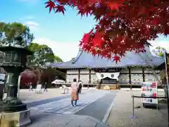 仁和寺の建物その他