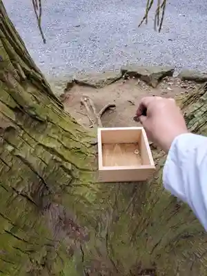 間々田八幡宮のその他建物