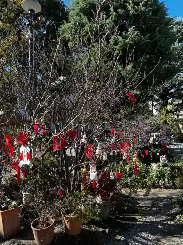 今戸神社の{uncategorized: "未分類", other: "その他", undefined: "問題あり", building: "その他建物", grave: "お墓", sacred_gate: "鳥居", guardian: "狛犬", statue: "像", buddha: "仏像", history: "歴史", nature: "自然", garden: "庭園", animal: "動物", pagoda: "塔", temizu: "手水舎", mountain_gate: "山門・神門", sanctuary: "本殿・本堂", subordinate: "末社・摂社", art: "芸術", scenery: "景色", jizo: "地蔵", ema: "絵馬", goshuin: "御朱印", omikuji: "おみくじ", items: "授与品その他", amulet: "お守り", goshuincho: "御朱印帳", eats: "食事", festival: "お祭り", votive_dance: "神楽", shichigosan: "七五三参", wedding: "結婚式", experience: "体験その他", initially: "初詣", around: "周辺", anti_infection: "感染症対策"}