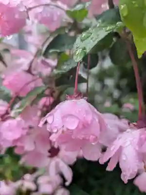 成子天神社(東京都)