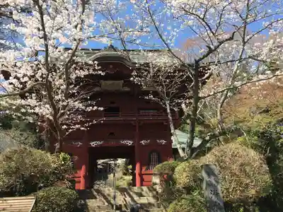 清水寺(千葉県)