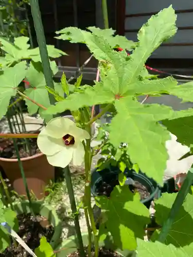 神館神社の自然