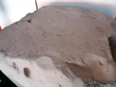 薬師寺のその他建物