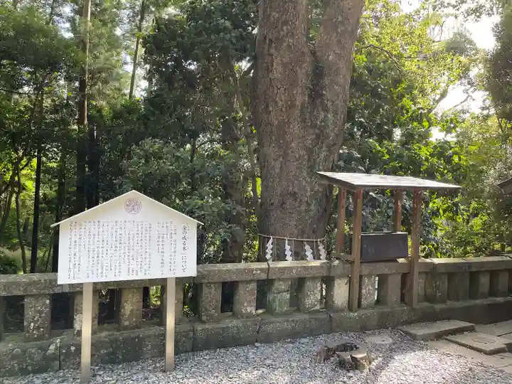 久能山東照宮(静岡県)