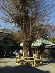 延寿寺(神奈川県)