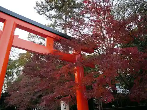 賀茂御祖神社（下鴨神社）の鳥居