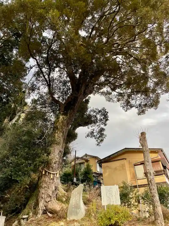 日枝神社(静岡県)