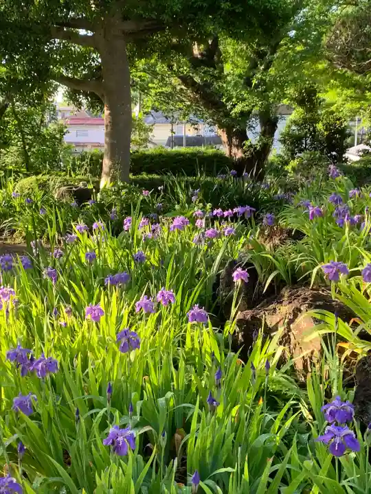 横浜 西方寺の自然