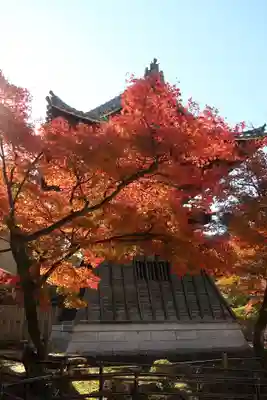 永保寺(岐阜県)