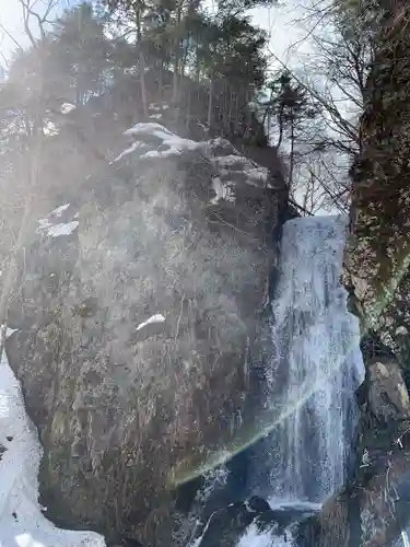 桜松神社の自然