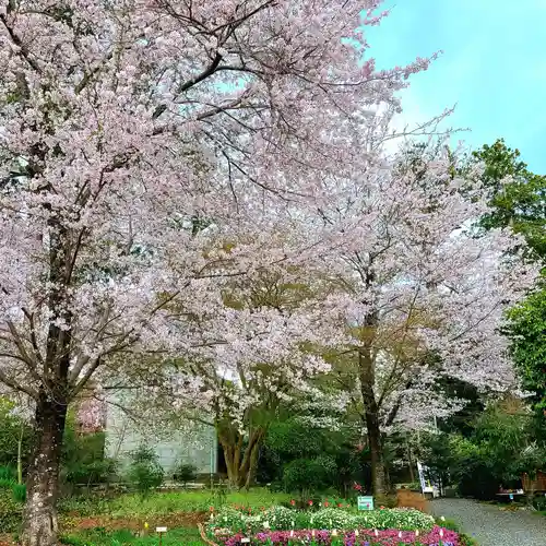 天宮神社の自然