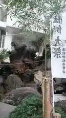 湯前神社の自然