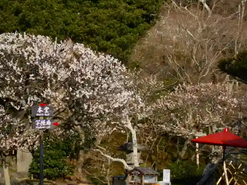 長谷寺の庭園