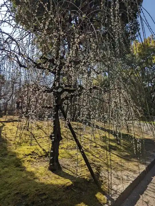城南宮(京都府)