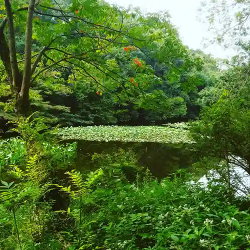 明治神宮の庭園