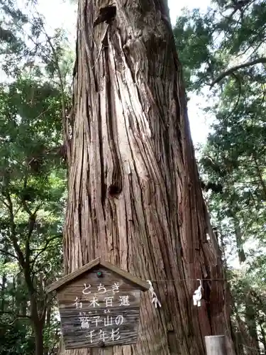 鷲子山上神社のその他建物