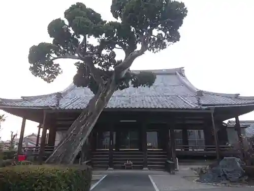 荘厳寺の本殿・本堂