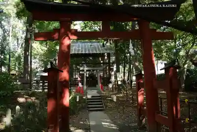 調神社(埼玉県)
