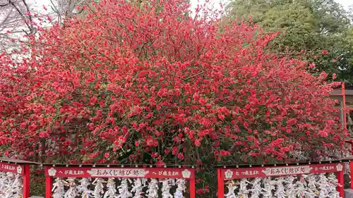 冠稲荷神社の自然