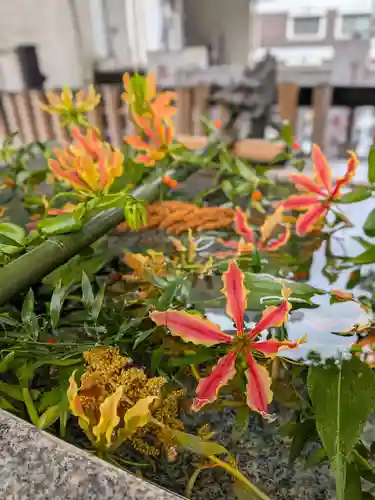 高円寺氷川神社(東京都)