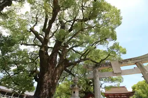 太宰府天満宮の建物その他