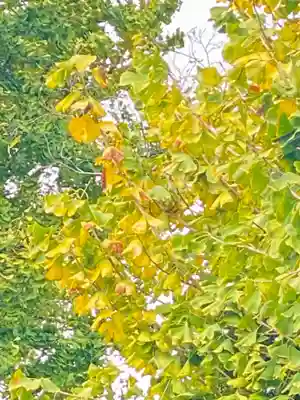 宇賀神社(京都府)
