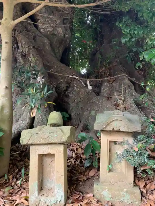 須賀神社(千葉県)