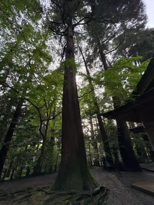 槵觸神社(宮崎県)