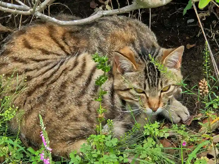 成田山新勝寺(千葉県)