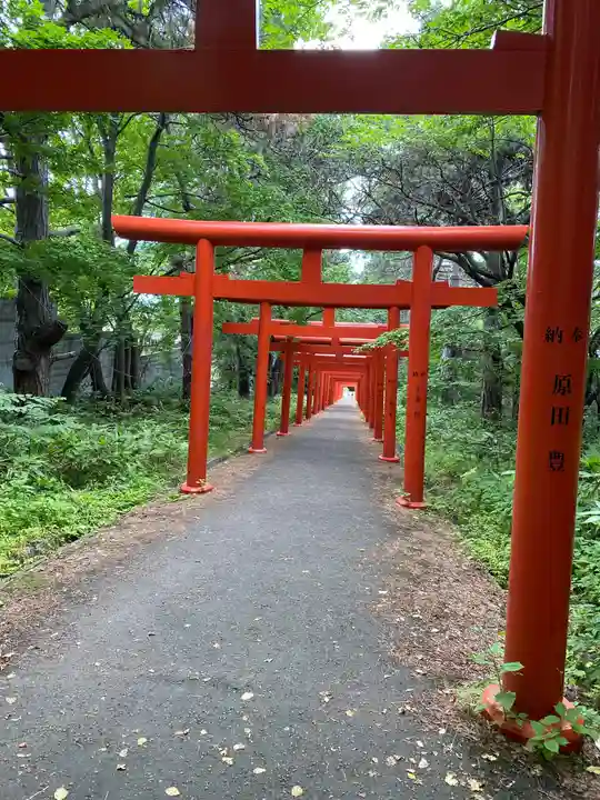 札幌伏見稲荷神社の鳥居