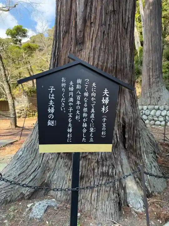 日枝神社の{uncategorized: "未分類", other: "その他", undefined: "問題あり", building: "その他建物", grave: "お墓", sacred_gate: "鳥居", guardian: "狛犬", statue: "像", buddha: "仏像", history: "歴史", nature: "自然", garden: "庭園", animal: "動物", pagoda: "塔", temizu: "手水舎", mountain_gate: "山門・神門", sanctuary: "本殿・本堂", subordinate: "末社・摂社", art: "芸術", scenery: "景色", jizo: "地蔵", ema: "絵馬", goshuin: "御朱印", omikuji: "おみくじ", items: "授与品その他", amulet: "お守り", goshuincho: "御朱印帳", eats: "食事", festival: "お祭り", votive_dance: "神楽", shichigosan: "七五三参", wedding: "結婚式", experience: "体験その他", initially: "初詣", around: "周辺", anti_infection: "感染症対策"}