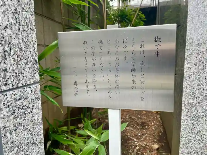 専念寺の{uncategorized: "未分類", other: "その他", undefined: "問題あり", building: "その他建物", grave: "お墓", sacred_gate: "鳥居", guardian: "狛犬", statue: "像", buddha: "仏像", history: "歴史", nature: "自然", garden: "庭園", animal: "動物", pagoda: "塔", temizu: "手水舎", mountain_gate: "山門・神門", sanctuary: "本殿・本堂", subordinate: "末社・摂社", art: "芸術", scenery: "景色", jizo: "地蔵", ema: "絵馬", goshuin: "御朱印", omikuji: "おみくじ", items: "授与品その他", amulet: "お守り", goshuincho: "御朱印帳", eats: "食事", festival: "お祭り", votive_dance: "神楽", shichigosan: "七五三参", wedding: "結婚式", experience: "体験その他", initially: "初詣", around: "周辺", anti_infection: "感染症対策"}