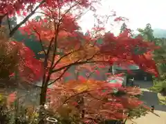 神護寺(京都府)