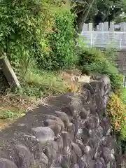 臥龍寺の動物