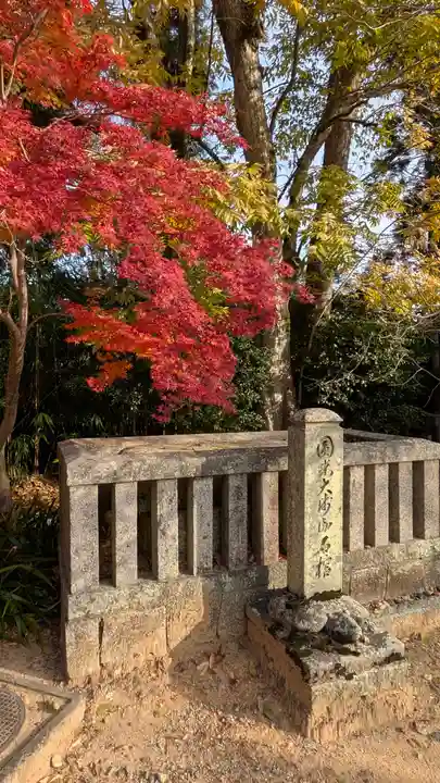 光明寺(粟生光明寺)(京都府)