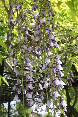 西大寺(奈良県)