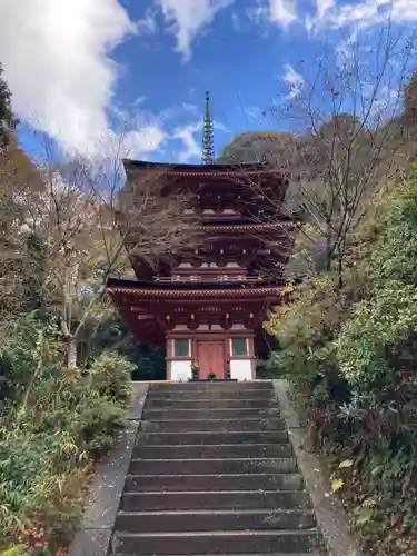 浄瑠璃寺(京都府)