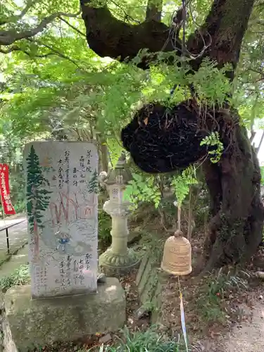 椎尾山薬王院の建物その他