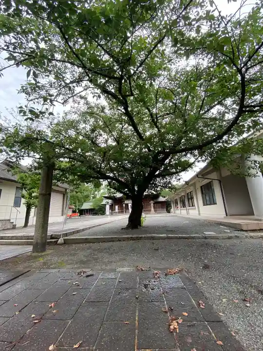豊山八幡神社の自然