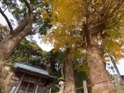 白岩神社の自然