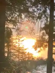 豊景神社の自然