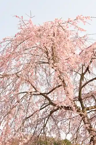 無量寺(愛媛県)