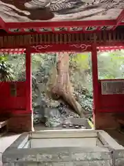 目の霊山　油山寺(静岡県)