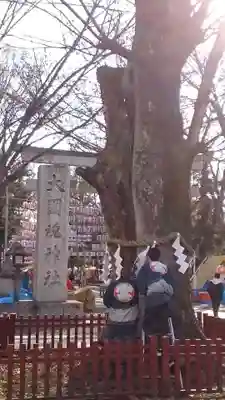 大國魂神社(東京都)