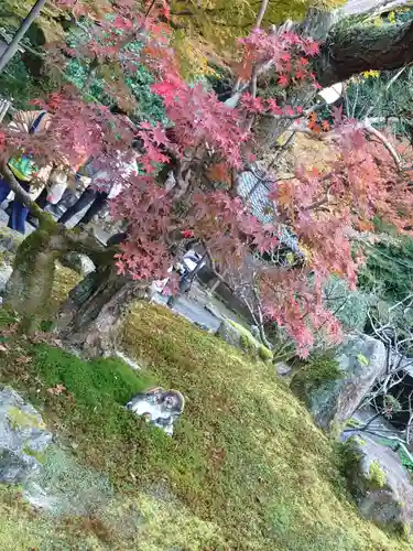 高徳庵　(最勝院）(京都府)