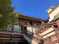 羅漢寺の{uncategorized: "未分類", other: "その他", undefined: "問題あり", building: "その他建物", grave: "お墓", sacred_gate: "鳥居", guardian: "狛犬", statue: "像", buddha: "仏像", history: "歴史", nature: "自然", garden: "庭園", animal: "動物", pagoda: "塔", temizu: "手水舎", mountain_gate: "山門・神門", sanctuary: "本殿・本堂", subordinate: "末社・摂社", art: "芸術", scenery: "景色", jizo: "地蔵", ema: "絵馬", goshuin: "御朱印", omikuji: "おみくじ", items: "授与品その他", amulet: "お守り", goshuincho: "御朱印帳", eats: "食事", festival: "お祭り", votive_dance: "神楽", shichigosan: "七五三参", wedding: "結婚式", experience: "体験その他", initially: "初詣", around: "周辺", anti_infection: "感染症対策"}
